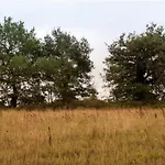 公寓 Domaine Du Vieux Gaval Toulon-sur-Allier