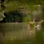 Domaine Du Vieux Gaval 公寓 Toulon-sur-Allier