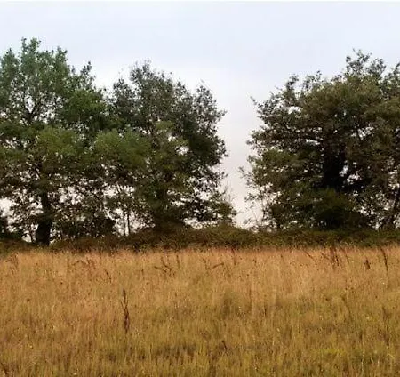 Apartman Domaine Du Vieux Gaval Toulon-sur-Allier