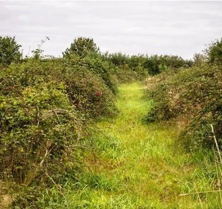 Domaine Du Vieux Gaval * Toulon-sur-Allier