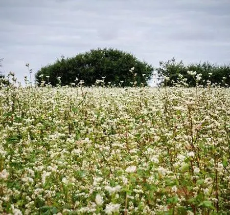 Apartman Domaine Du Vieux Gaval