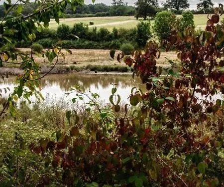 Domaine Du Vieux Gaval Toulon-sur-Allier